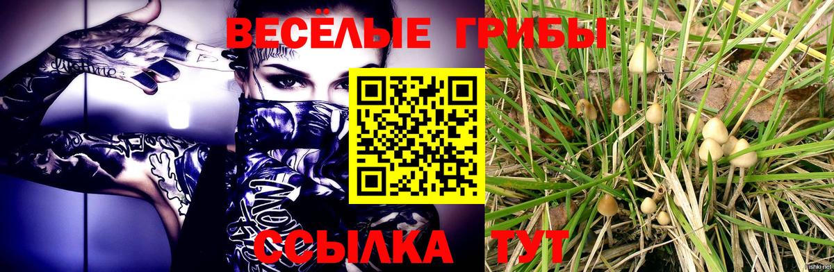 Псилоцибиновые грибы Psilocybine cubensis  Вход с VPN  Апрелевка 