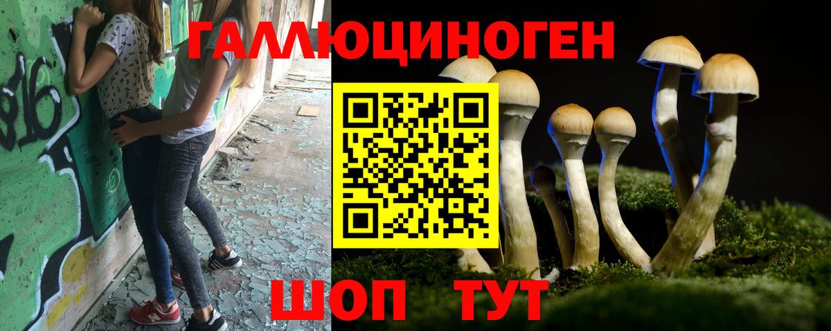 Псилоцибиновые грибы мицелий Апрелевка
